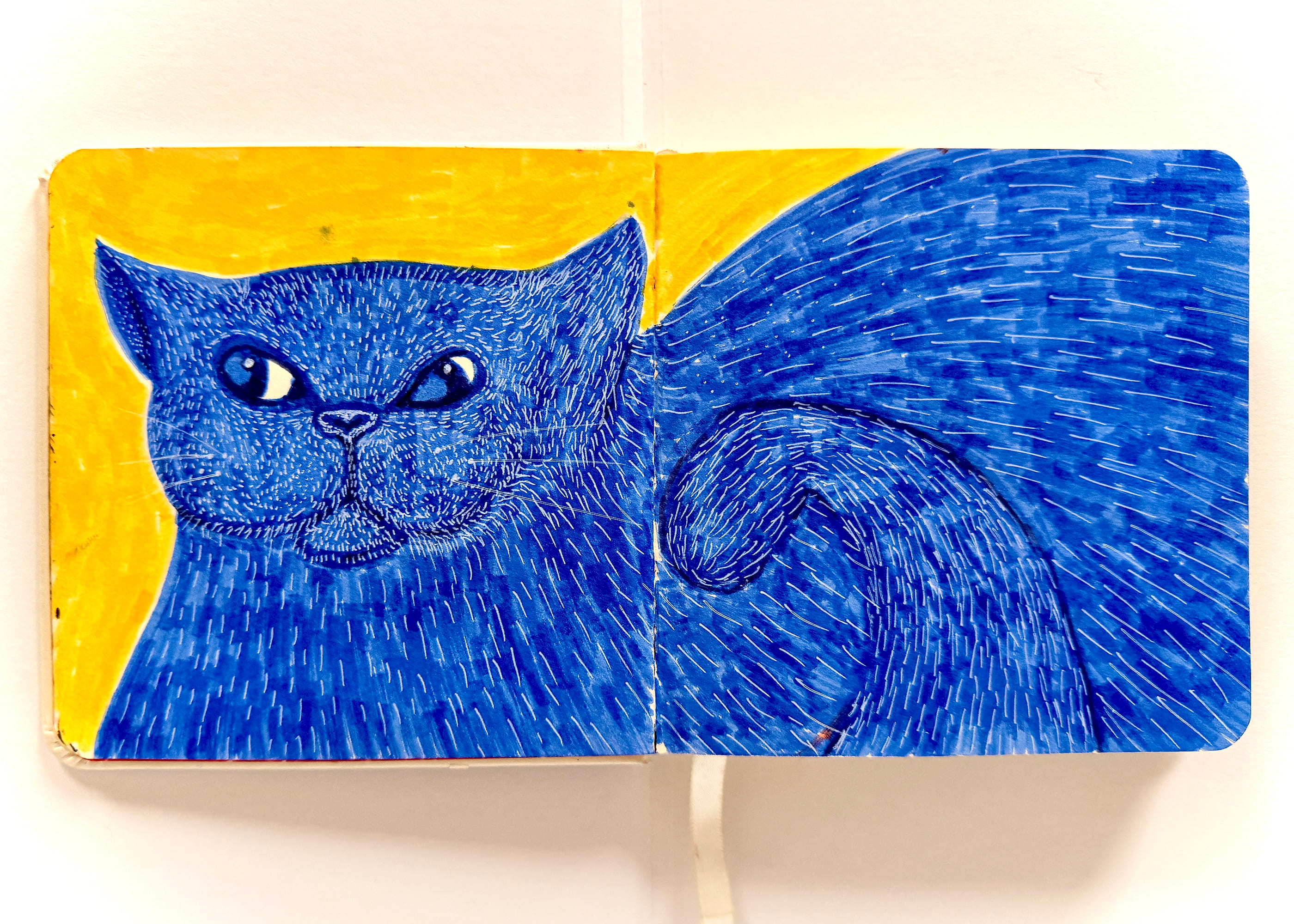 Cool Cat, artwork by Hasanat Jahan